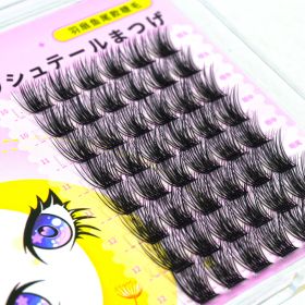 QSTY DIY Natural Clusters Lashes Individual Dovetail Segmented Lashes Volume Natural Segment Eyelashes 3D Extension Bundles (Color: B7272-1)